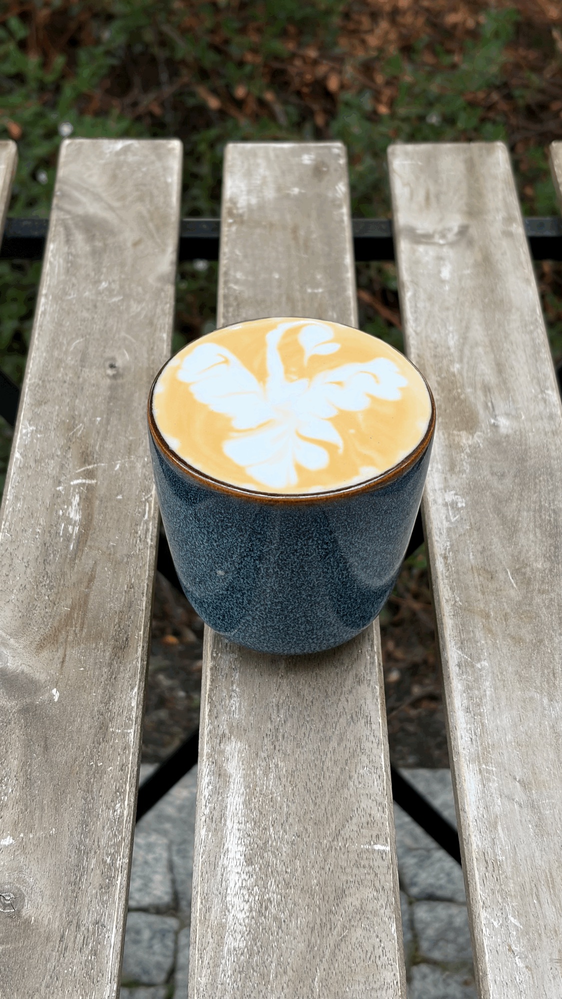 Capuccino