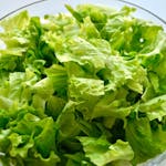 Zelena salata 