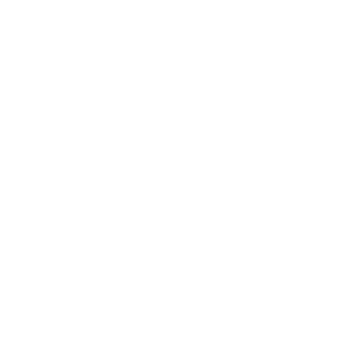Logo z płomieniami i szachownicą, symbolizujące prędkość i sport motorowy.