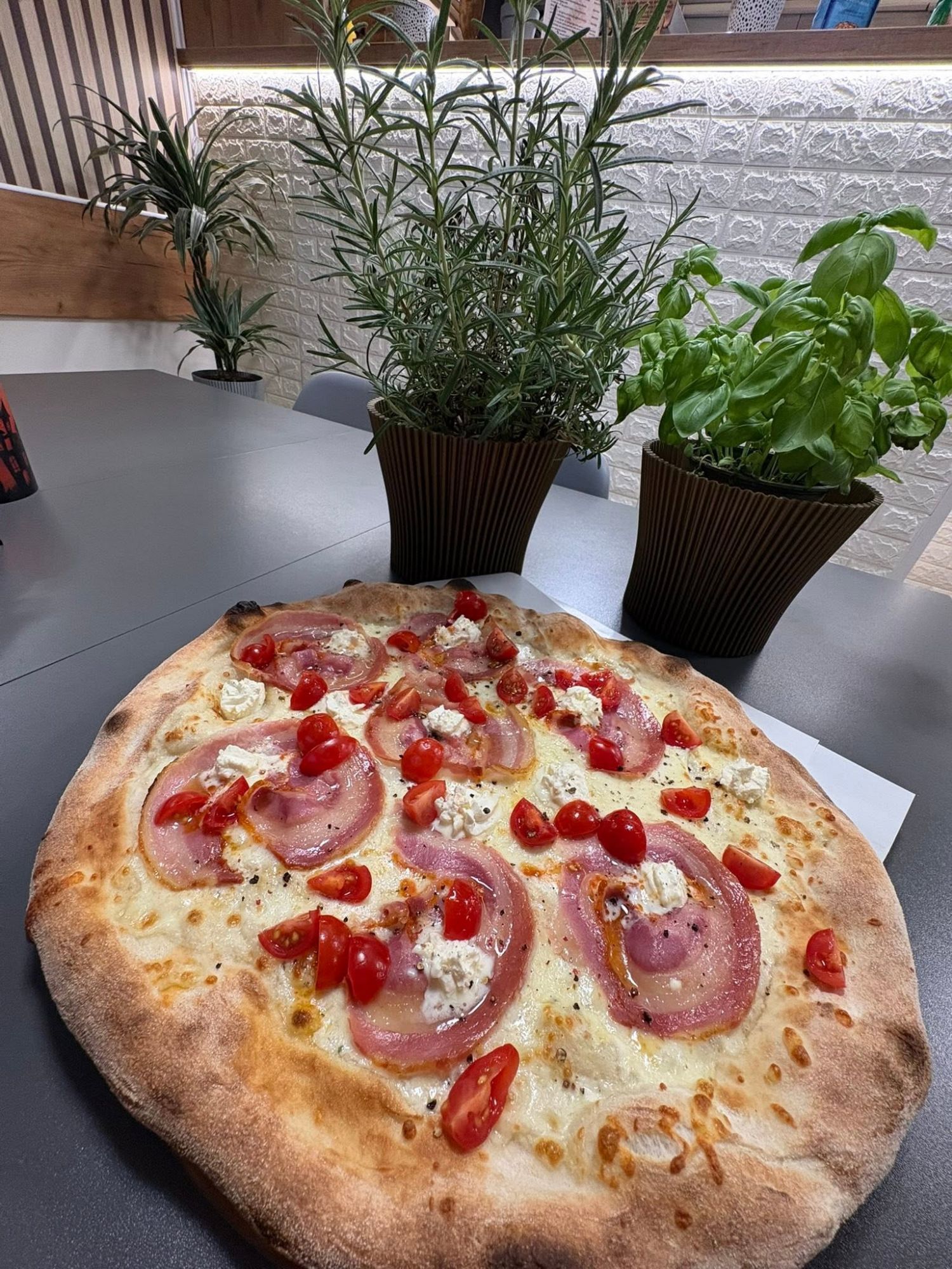 Pizza z szynką, serem i pomidorkami, na stole z ziołami w doniczkach w tle.