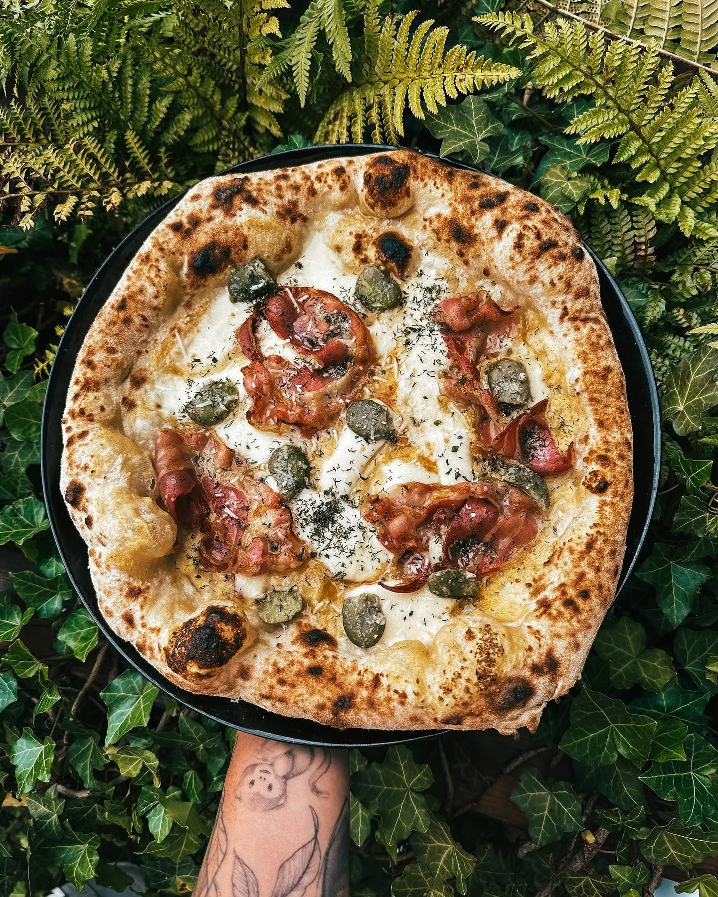 Pizza na czarnym talerzu, w otoczeniu zielonych roślin, z serem, szynką, pomidorami i kaparami.