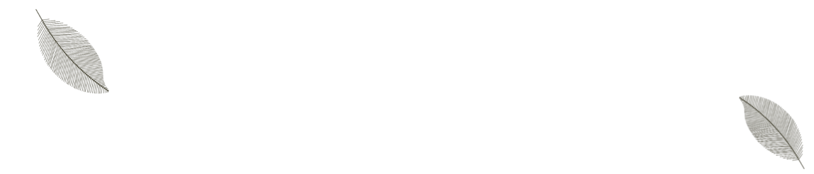 Przystawki