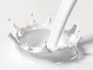Mleko UHT 1,5% 1L. Różni dostawcy. 1 L/PA Numer artykułu 16801745