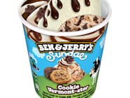 Ben & Jerry's Cookie Vermont-ster 427 ml