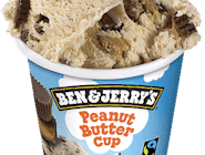 Ben &amp; Jerry’s Peanut Butter Cup 465 ml