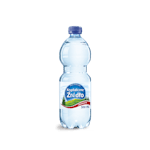 SPARKLING WATER 0,5L 