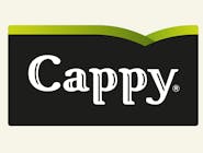 CAPPY POMARAŃCZA 0,33 L 