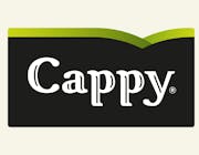 CAPPY POMARAŃCZA 0,33 L 