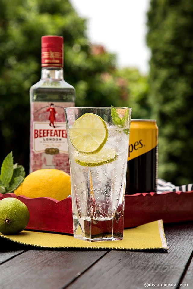 GIN TONIC 250 ML