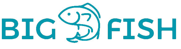 Big Fish logo