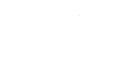 Beef Burger Grillbar