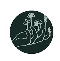 WiedźMak - vegetarian magic