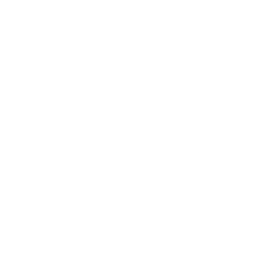 MaxiM