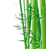 Bambus Garden