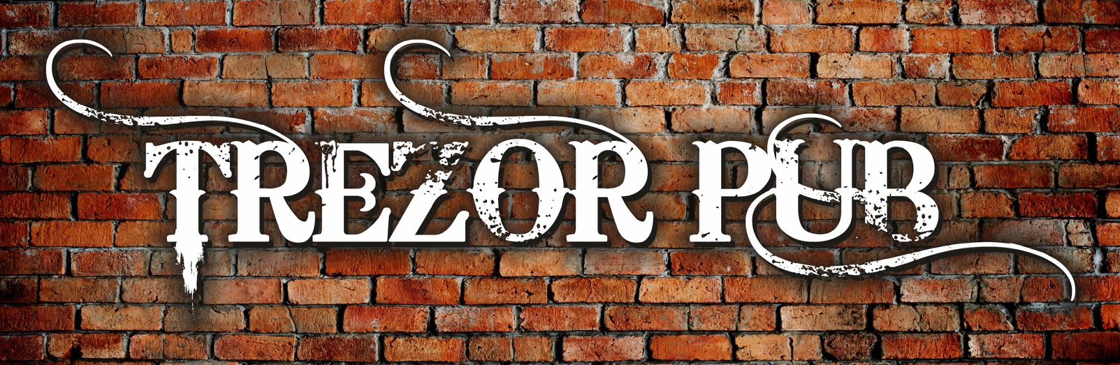 Trezor pub logo