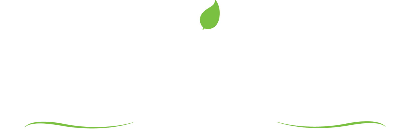 Pieprz i Bazylia logo