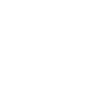 Arizona Pizza logo