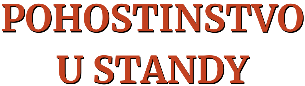 U Standy logo