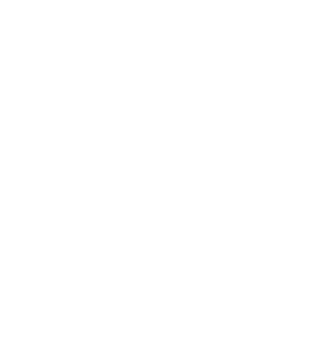 Pierogi z Mirror logo