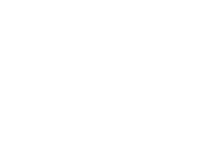 GOGO Burger logo