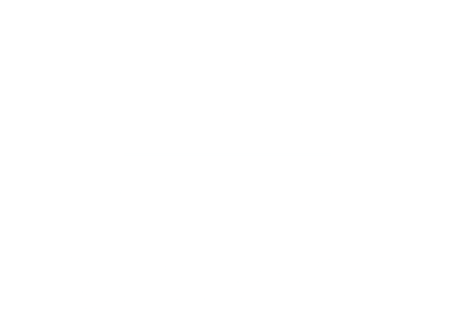 GOGO Burger