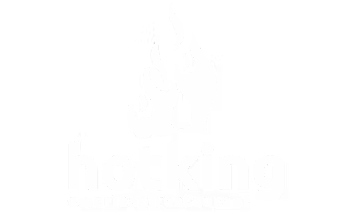 HOT KING logo