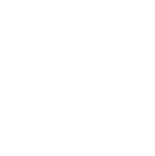 Kycer Burger
