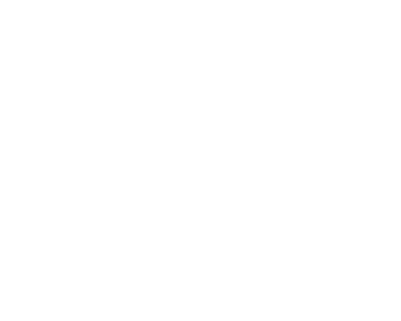 Everest Kebab logo