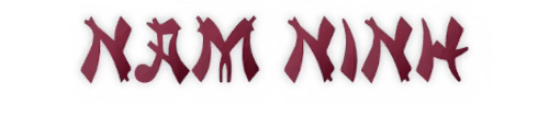 NAM NINH logo