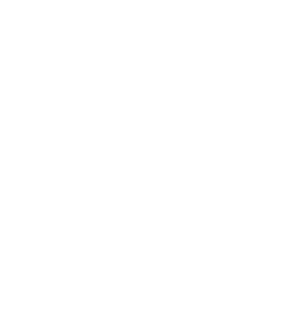 Central Kebs -The Art of Kebap logo