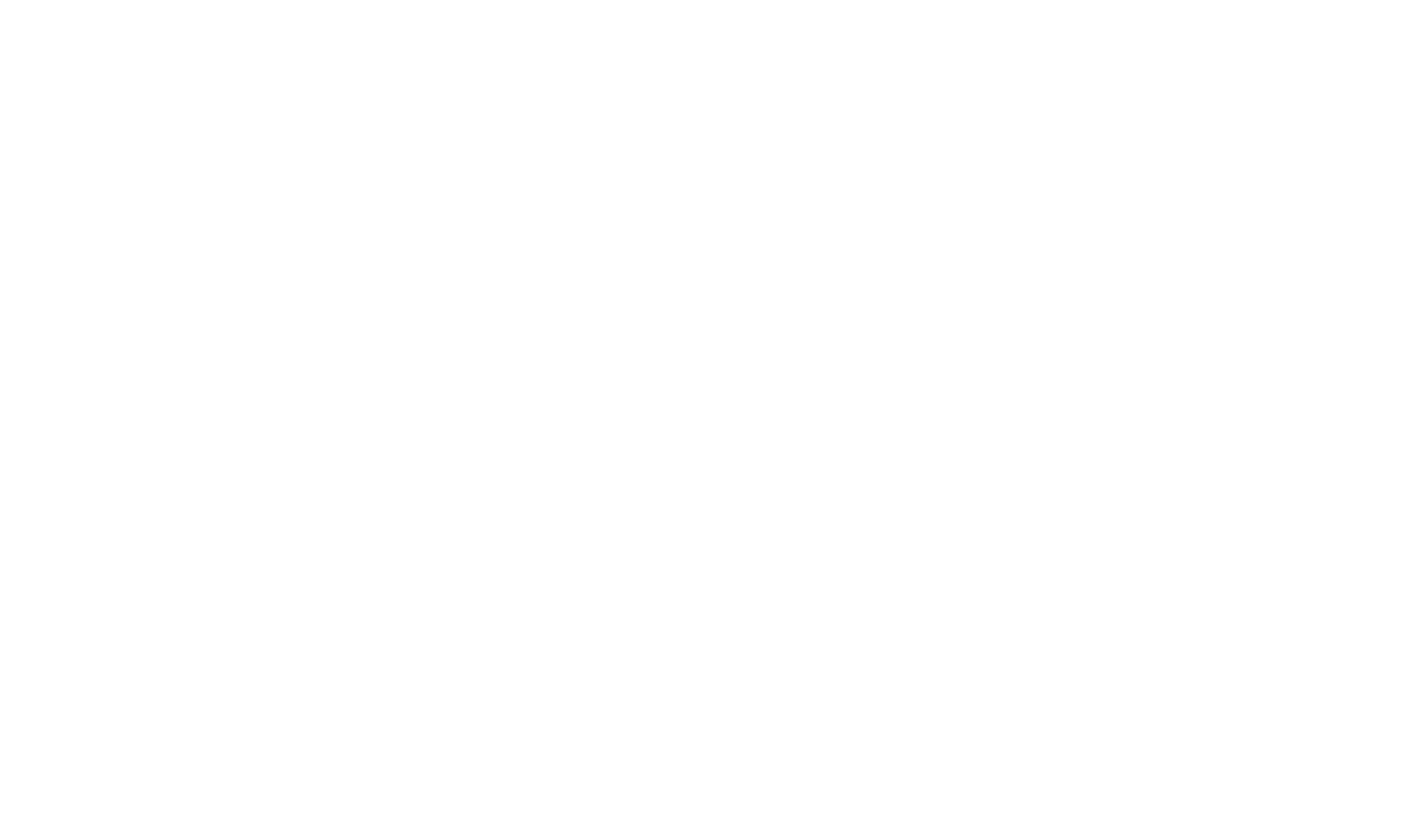 Brooklyn Syndicate logo
