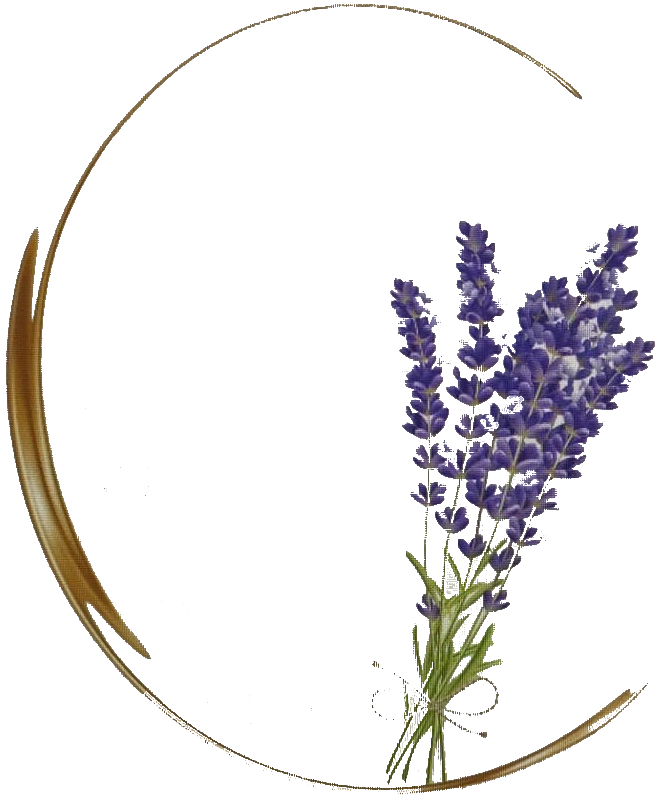 OPG Valentino Pušić logo