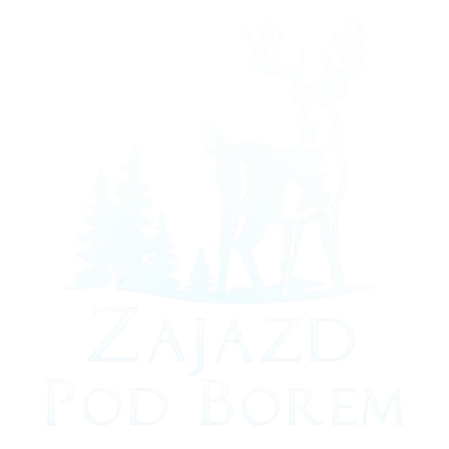 Zajazd pod Borem logo