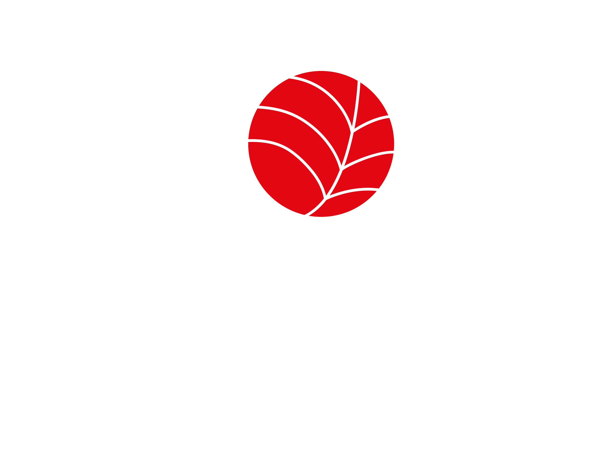 Monami Sushi logo