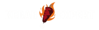 Expert Kebab logo