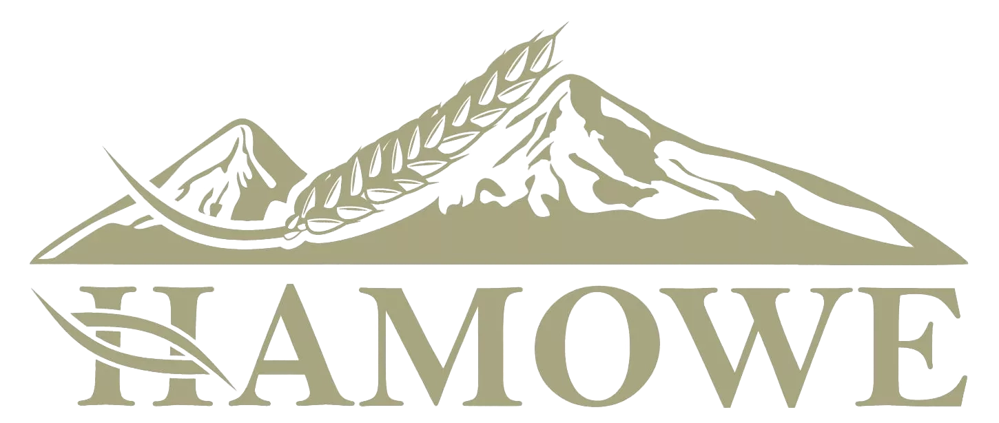 Hamowe logo