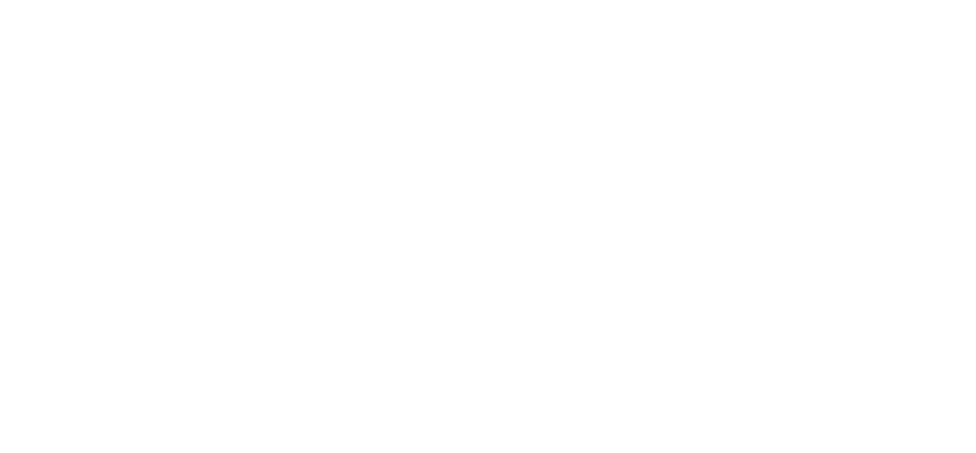 Kwiaciarnia "Bonsai" Anna Misiak logo