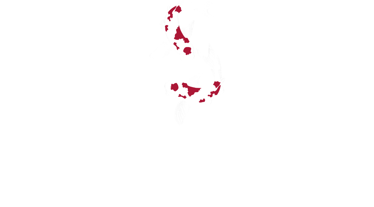 Sushi Dream logo