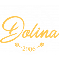 Dolina logo