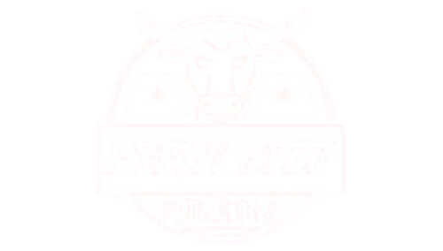 Fresh Beef Burger